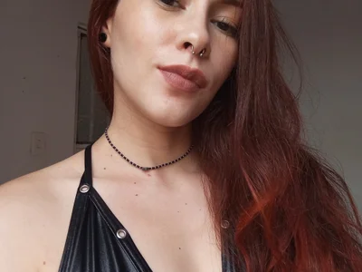 Profile preview